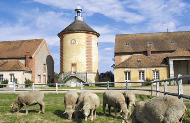 Cottage Au Coin Du Feu Rambouillet Kültér fotó